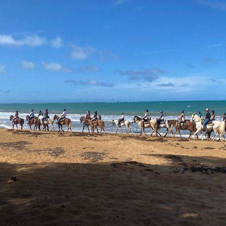 Oceanfront Condo In Luquillo Exteriér fotografie